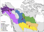 Frontiers | Patterns of Ecosystem Structure and Wildfire Carbon ...