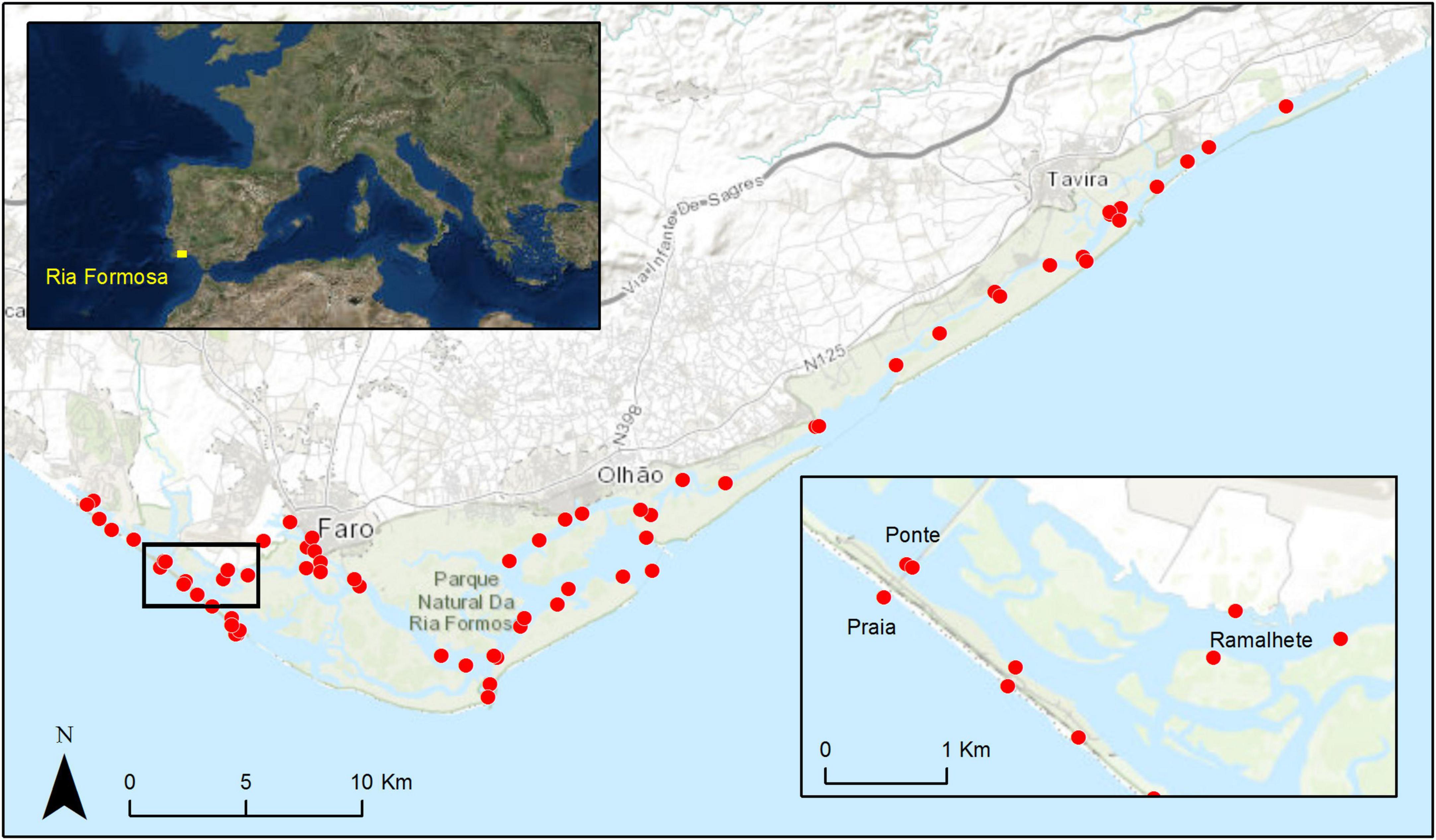 Frontiers | Assessing the effectiveness of management measures in the Ria  Formosa coastal lagoon, Portugal