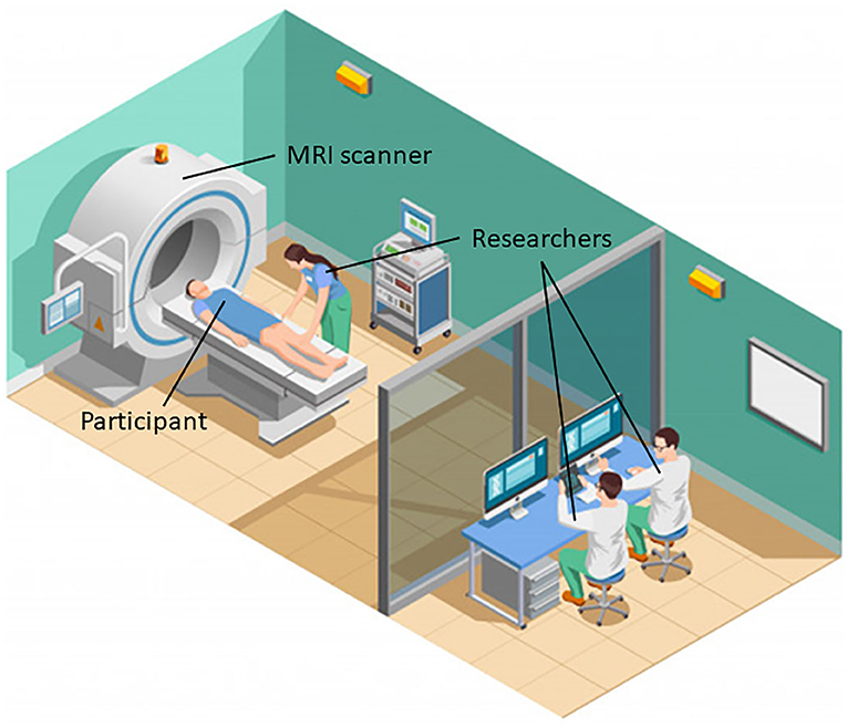图3 -研究人员使用核磁共振扫描仪来研究人们的大脑。