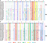 Frontiers | Organization of the Addax Major Histocompatibility Complex ...