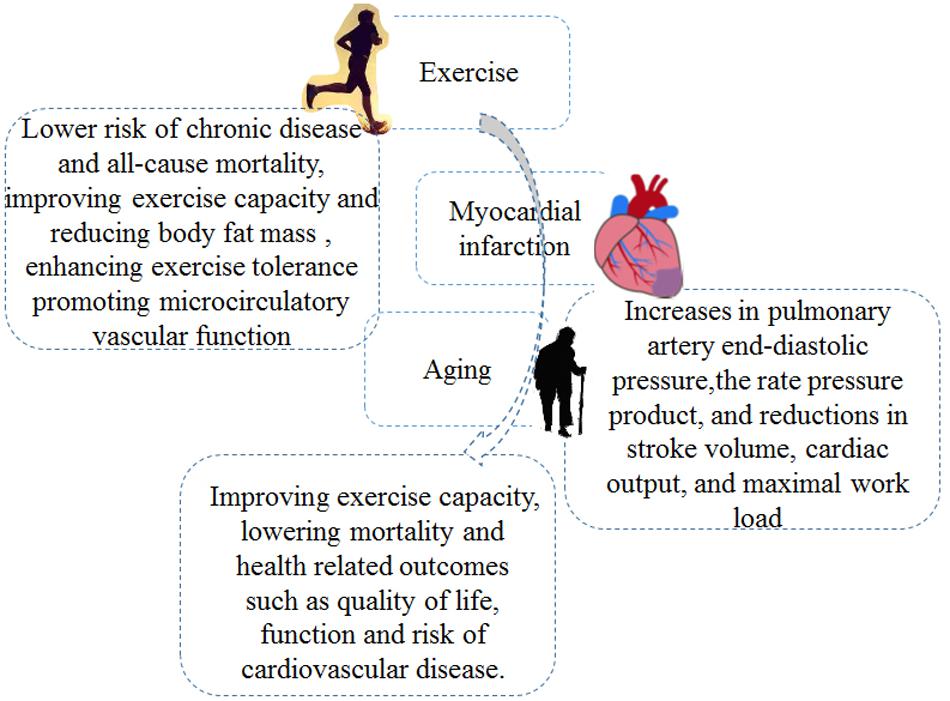 The best medicine: Promoting physical activity in older adults