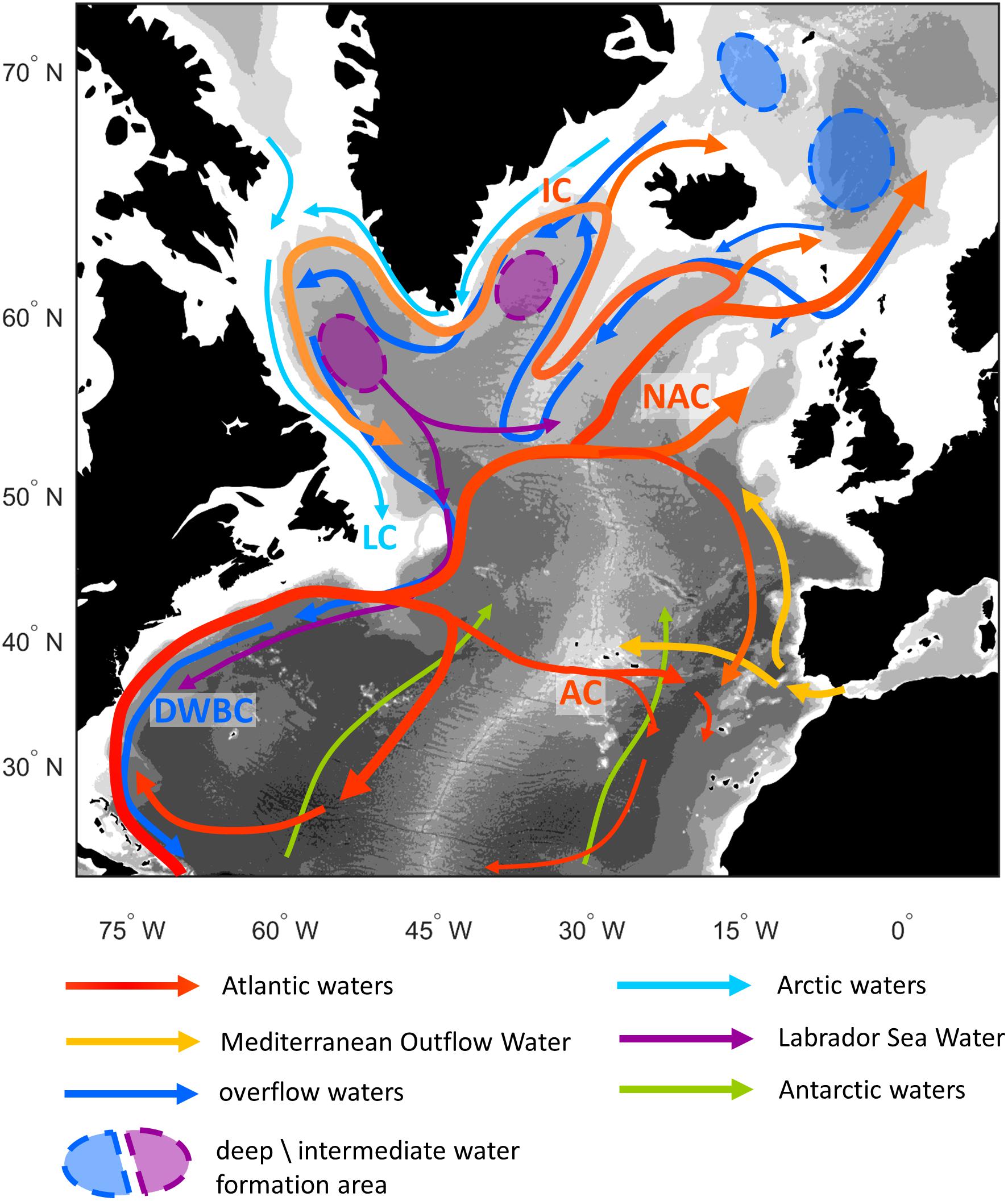 Frontiers Influence Of Water Masses On The Biodiversity And Biogeography Of Deep Sea Benthic Ecosystems In The North Atlantic Marine Science