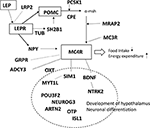 Frontiers | Rare Variants in Genes Linked to Appetite Control and ...