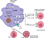 Frontiers | Myeloid-Derived Suppressor Cells as Target of ...