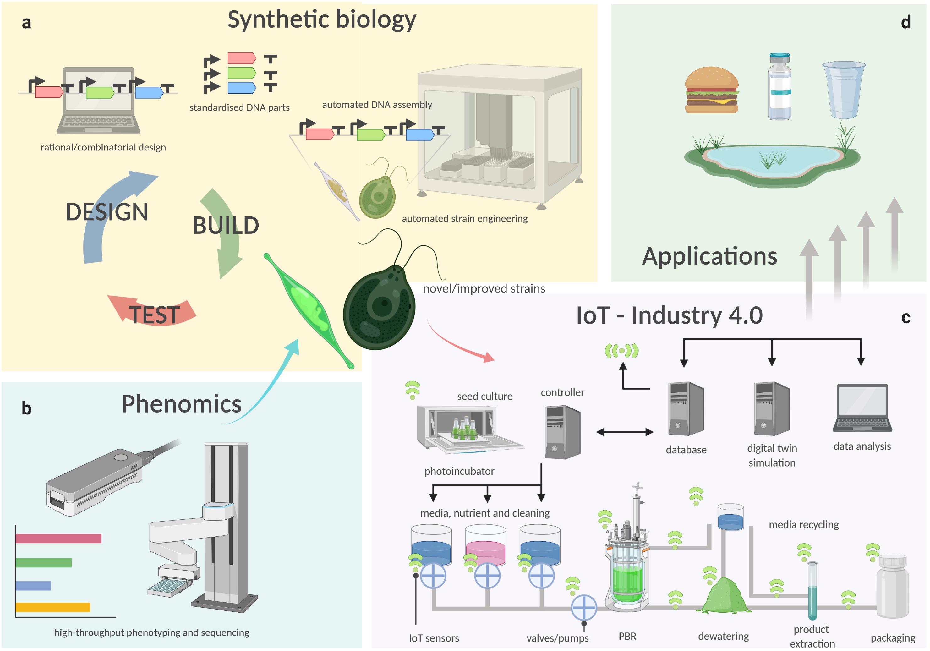 Current application of algae derivatives for bioplastic production: A  review - ScienceDirect