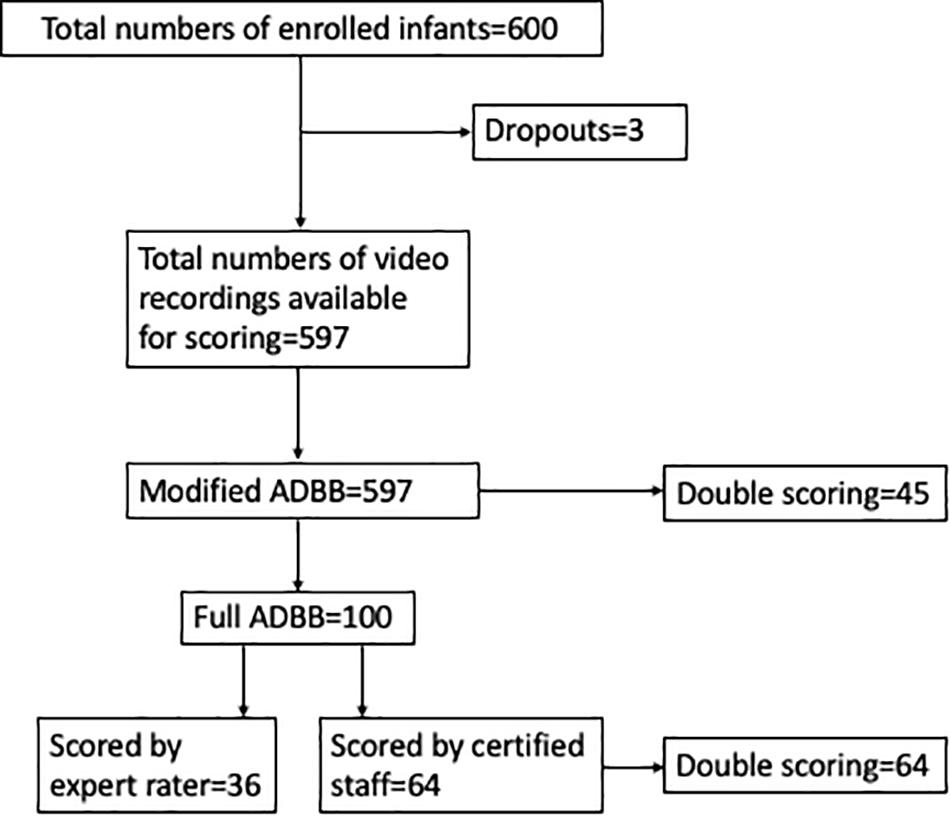 Frontiers The Feasibility Of The Full And Modified Versions Of The Alarm Distress Baby Scale Adbb And The Prevalence Of Social Withdrawal In Infants In Nepal