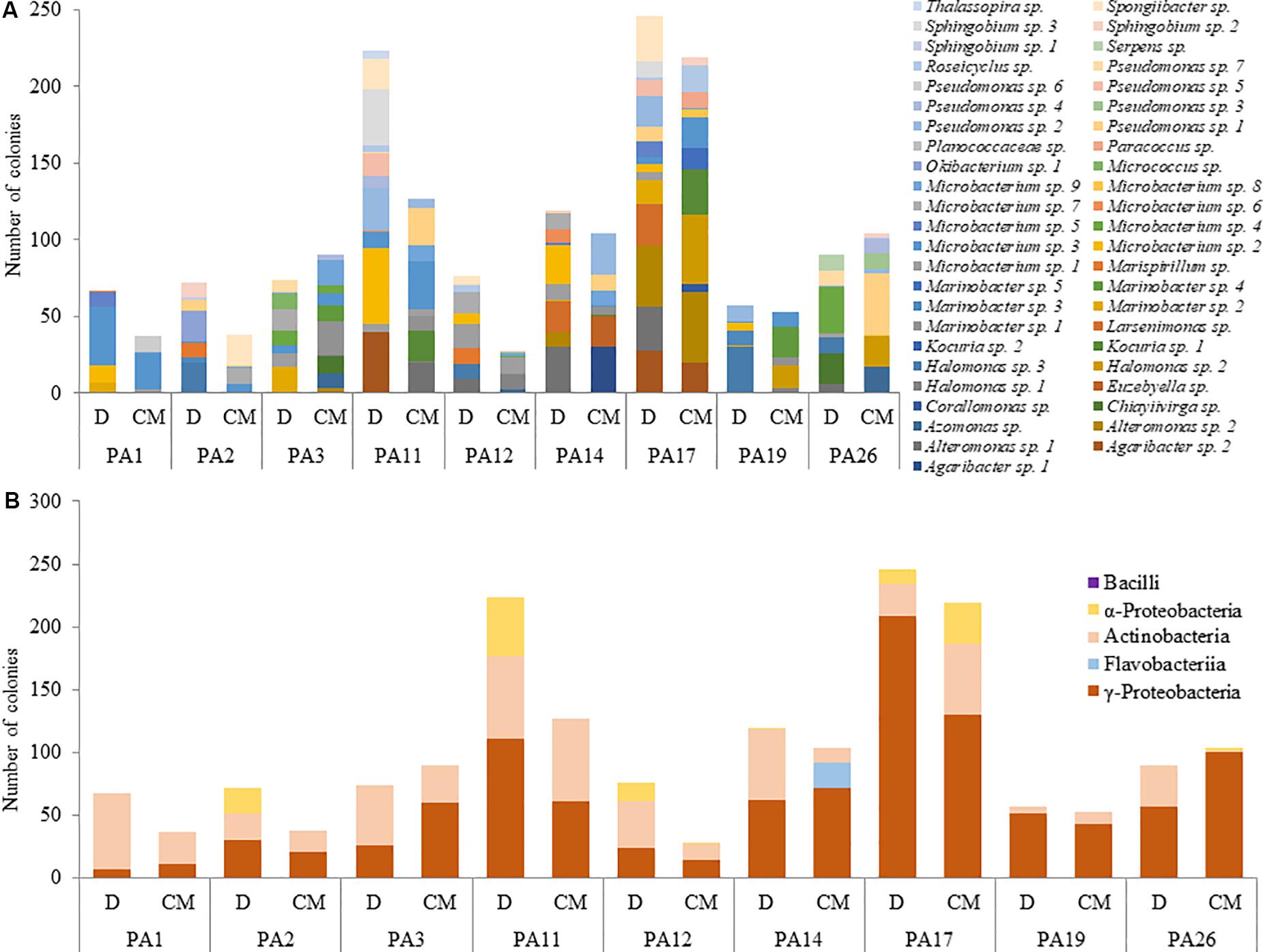 Frontiers | Associated Bacteria and Their Effects on Growth and