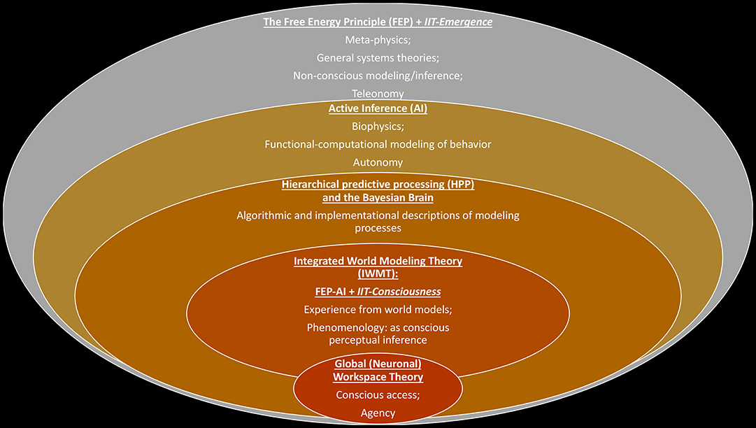 Frontiers  An Integrated World Modeling Theory (IWMT) of
