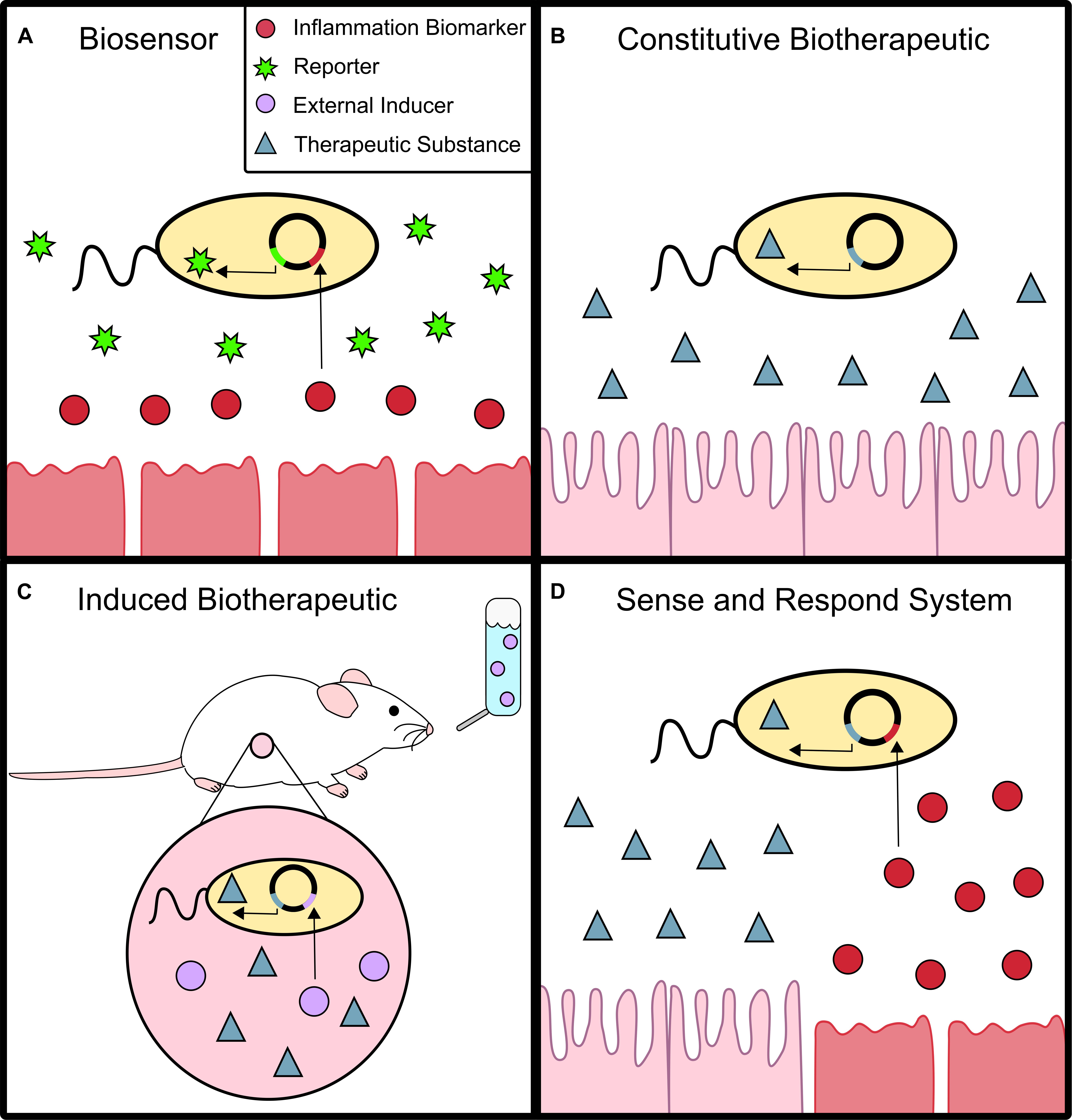 Frontiers  Microbiome engineering: engineered live biotherapeutic
