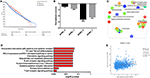 Frontiers | The TNFSF Members APRIL and BAFF and Their Receptors TACI ...