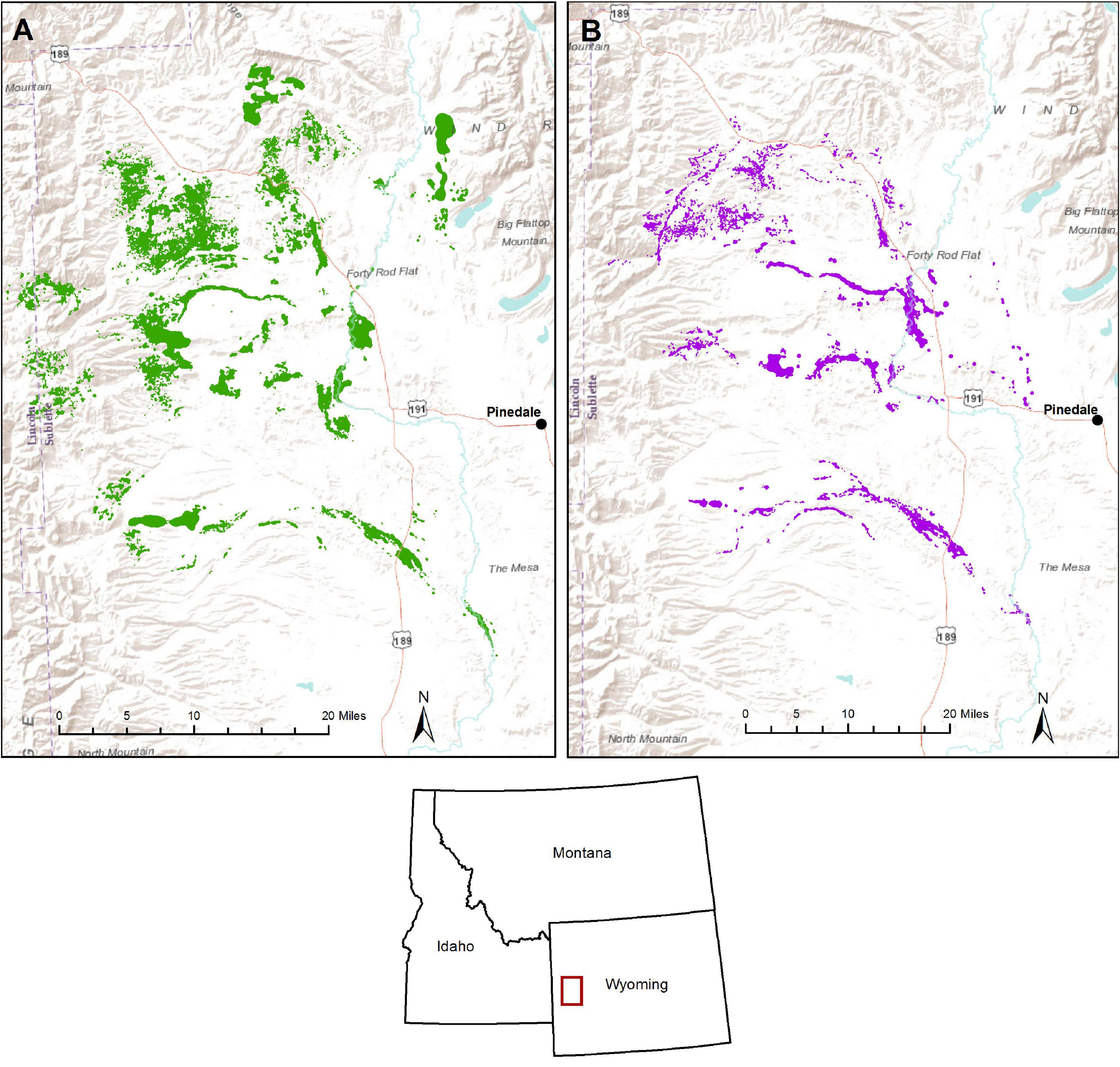 Frontiers | Detecting Resource Limitation in a Large Herbivore ...