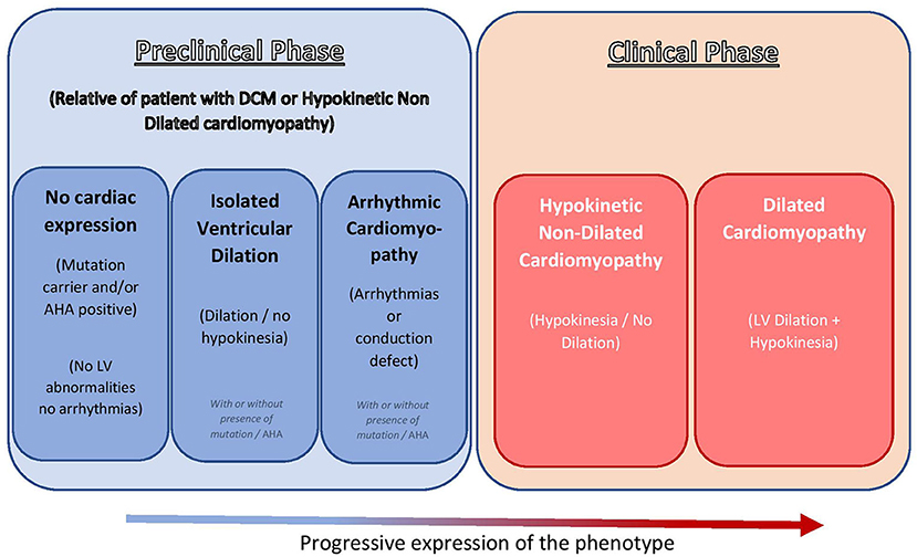 Hypokinesia and global hypokinesis of the left ventricle