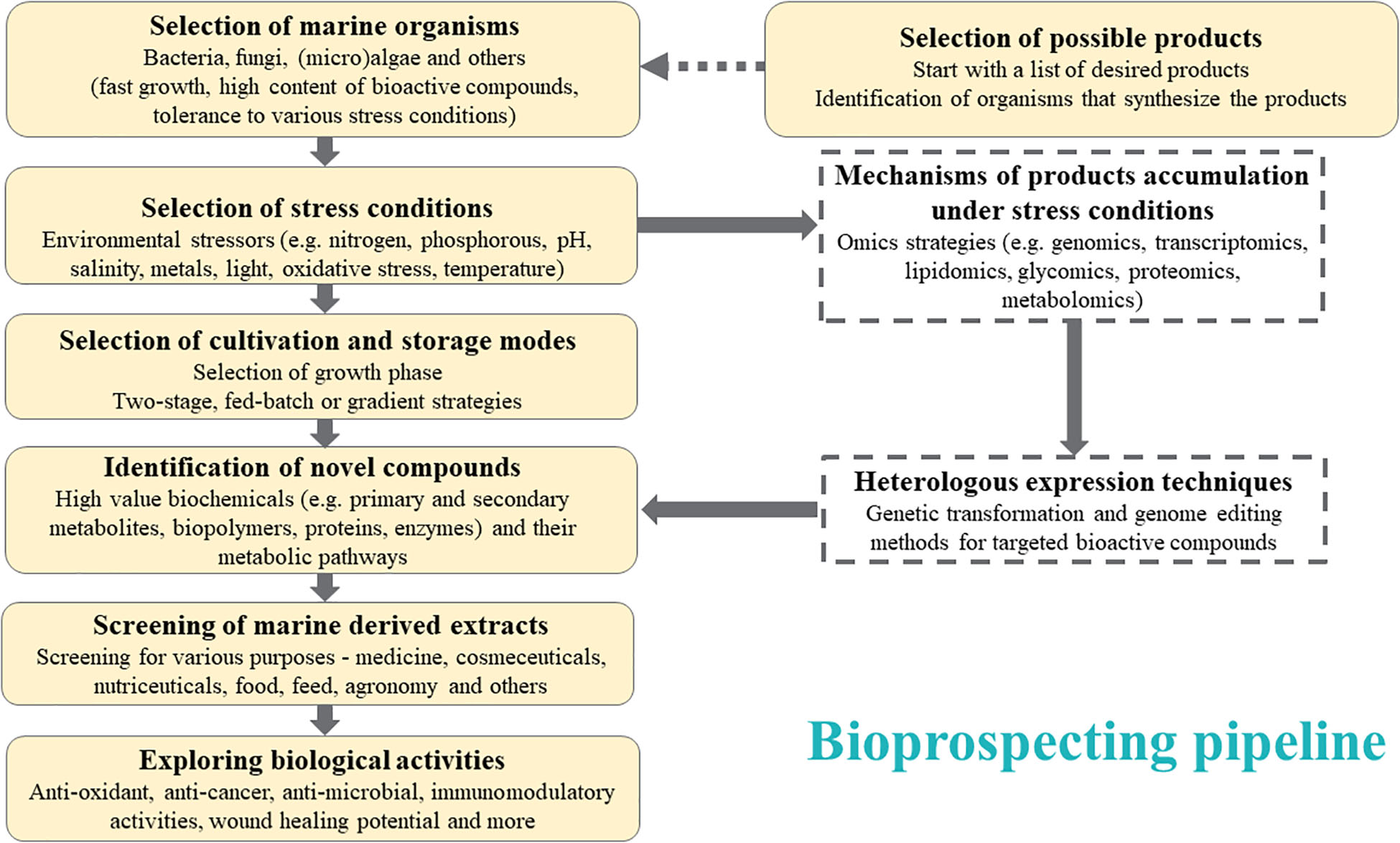  Marine Biology Research Topics Marine Biology Research Paper Topics 