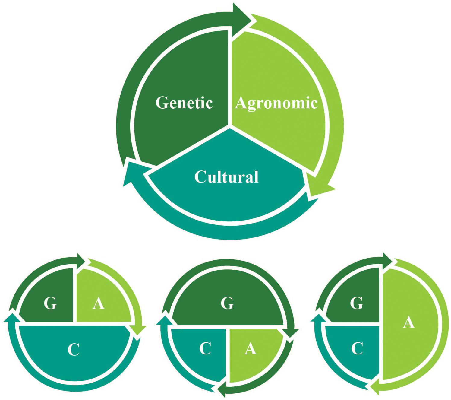 Frontiers  New Food Crop Domestication in the Age of Gene Editing