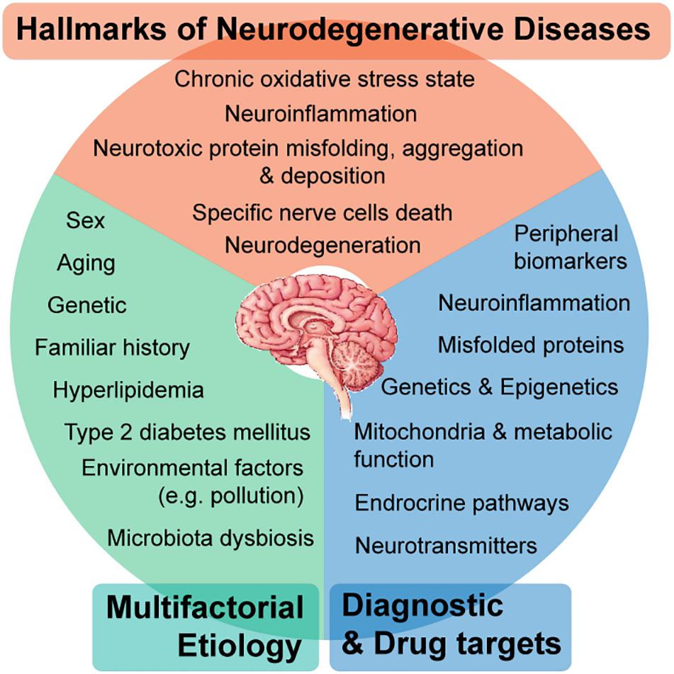 Frontiers Systems Biology Approaches to Understand the Host–Microbiome Interactions in Neurodegenerative Diseases photo image