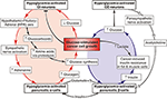 Frontiers | A View on Pathogenesis of ≪Vicious Cancer Progression Cycle ...