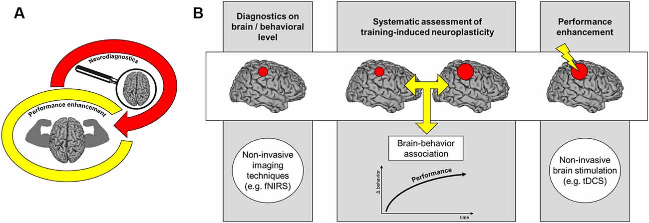 Frontiers  Neurodiagnostics in Sports: Investigating the Athlete's Brain  to Augment Performance and Sport-Specific Skills