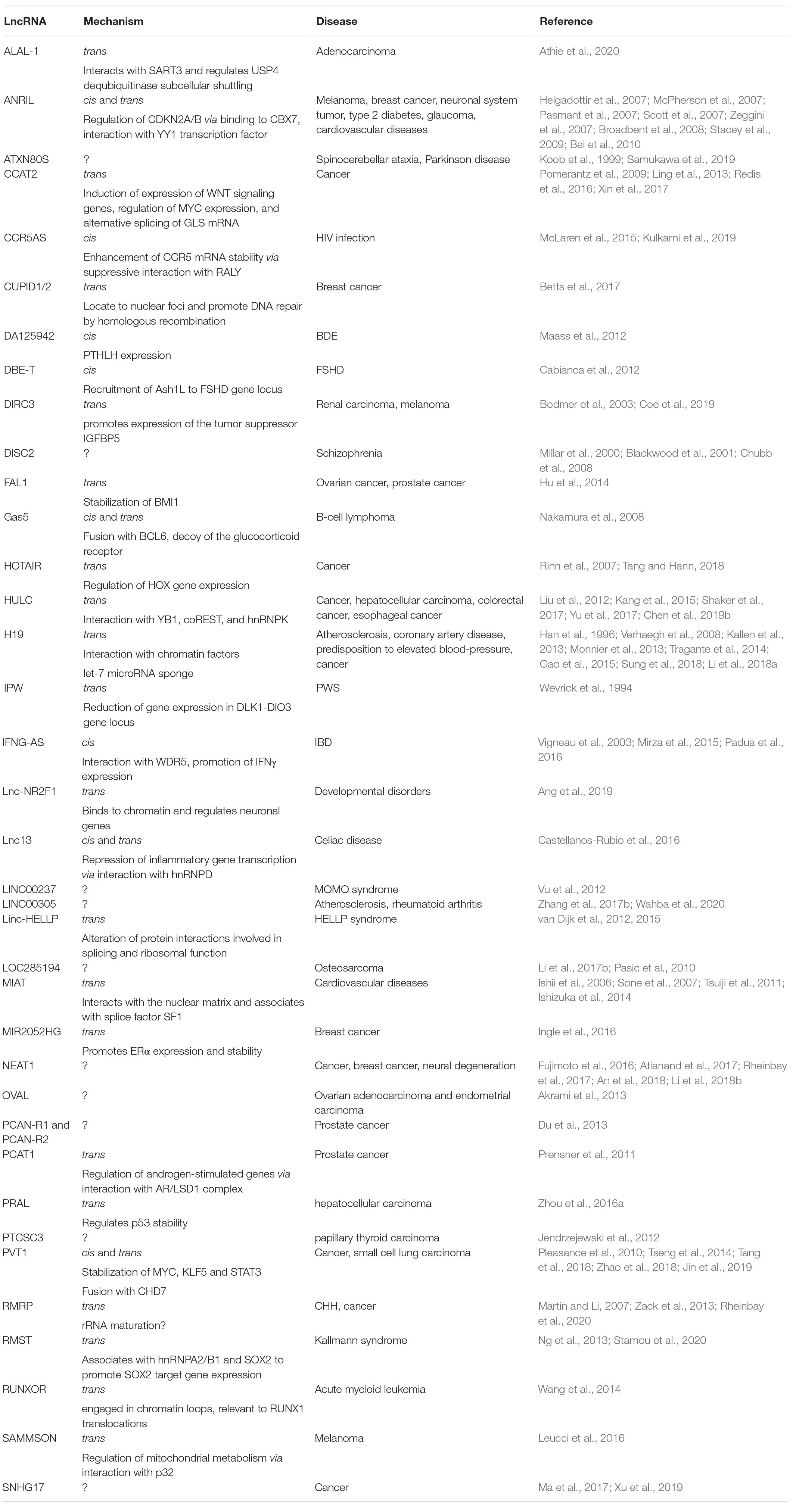 Frontiers Disease Causing Mutations And Rearrangements In Long Non Coding Rna Gene Loci Genetics