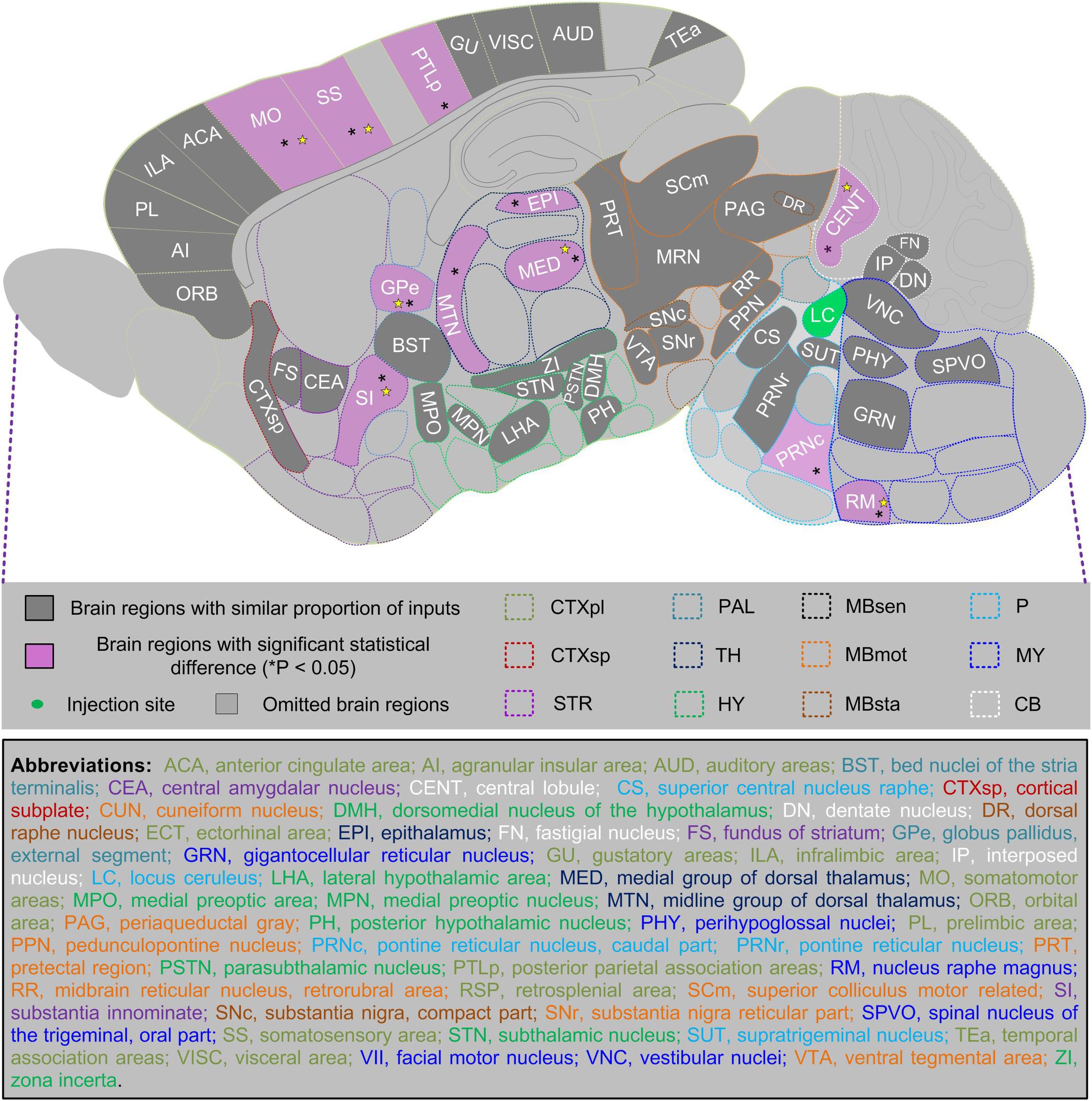 Frontiers Sex Related Differential Whole Brain Input Atlas Of Locus