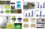 Frontiers | Recent Progress In 3D Printing Of Bioinspired Structures ...