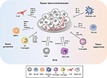 Frontiers | Exosomal MicroRNAs as Mediators of Cellular Interactions ...