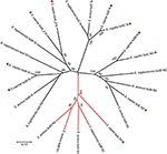 Frontiers | Determining the Genetic Characteristics of Resistance and ...