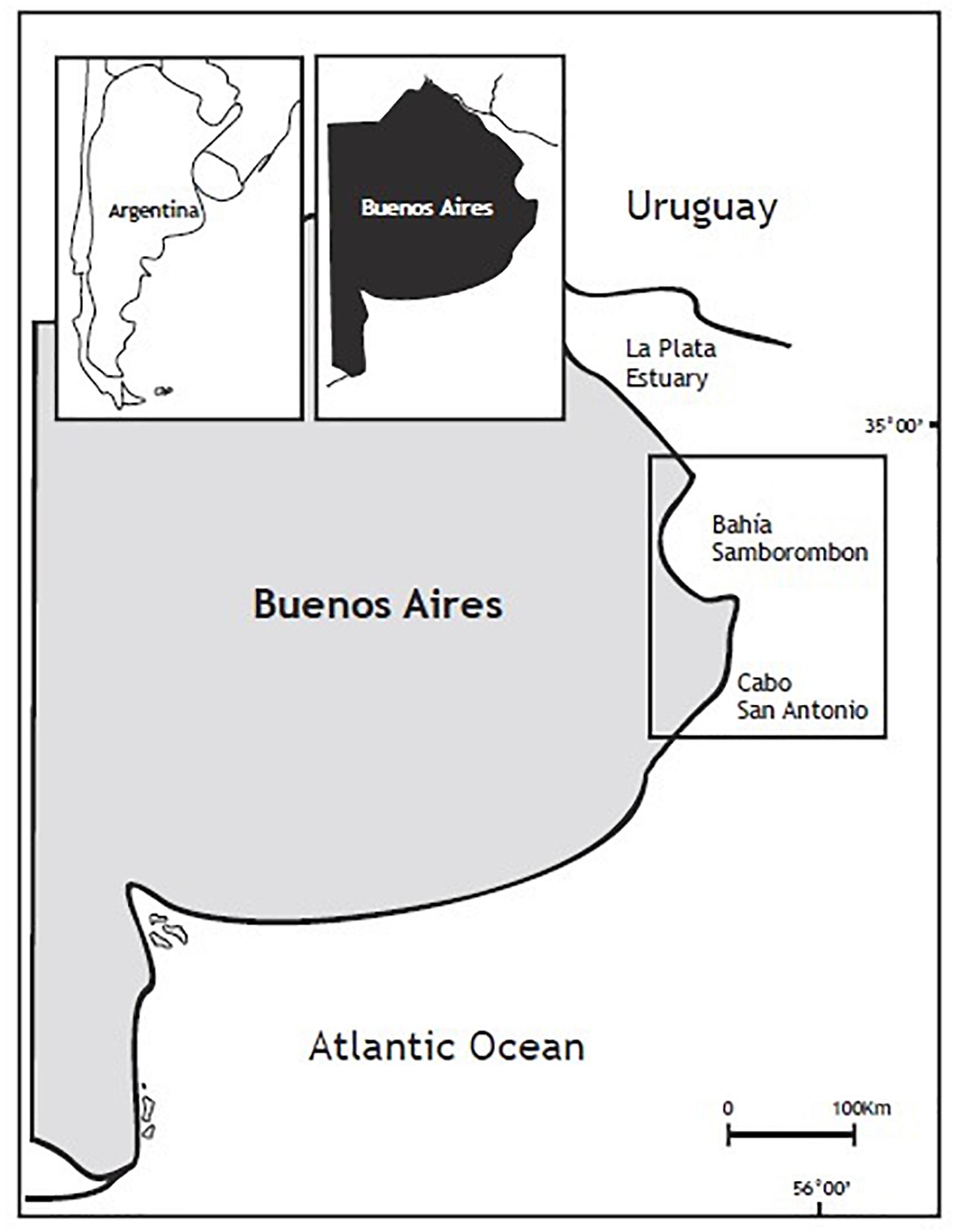 Frontiers  Switching Gillnets to Longlines: An Alternative to Mitigate the  Bycatch of Franciscana Dolphins (Pontoporia blainvillei) in Argentina