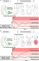 Frontiers | Preventive Allergen-Specific Vaccination Against Allergy ...