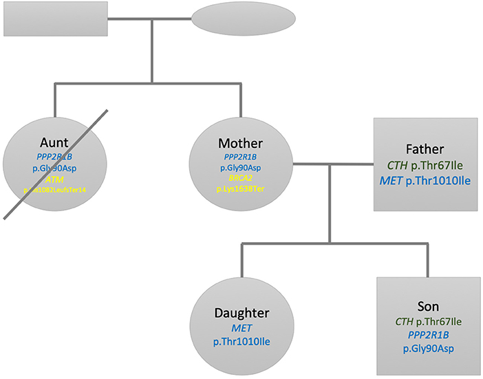 Frontiers Whole Genome Interpretation For A Family Of Five Genetics