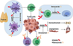 Frontiers | Targeting the RANKL/RANK/OPG Axis for Cancer Therapy | Oncology