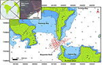 Frontiers | High-Resolution Sub-Bottom and Magnetometer Data From ...