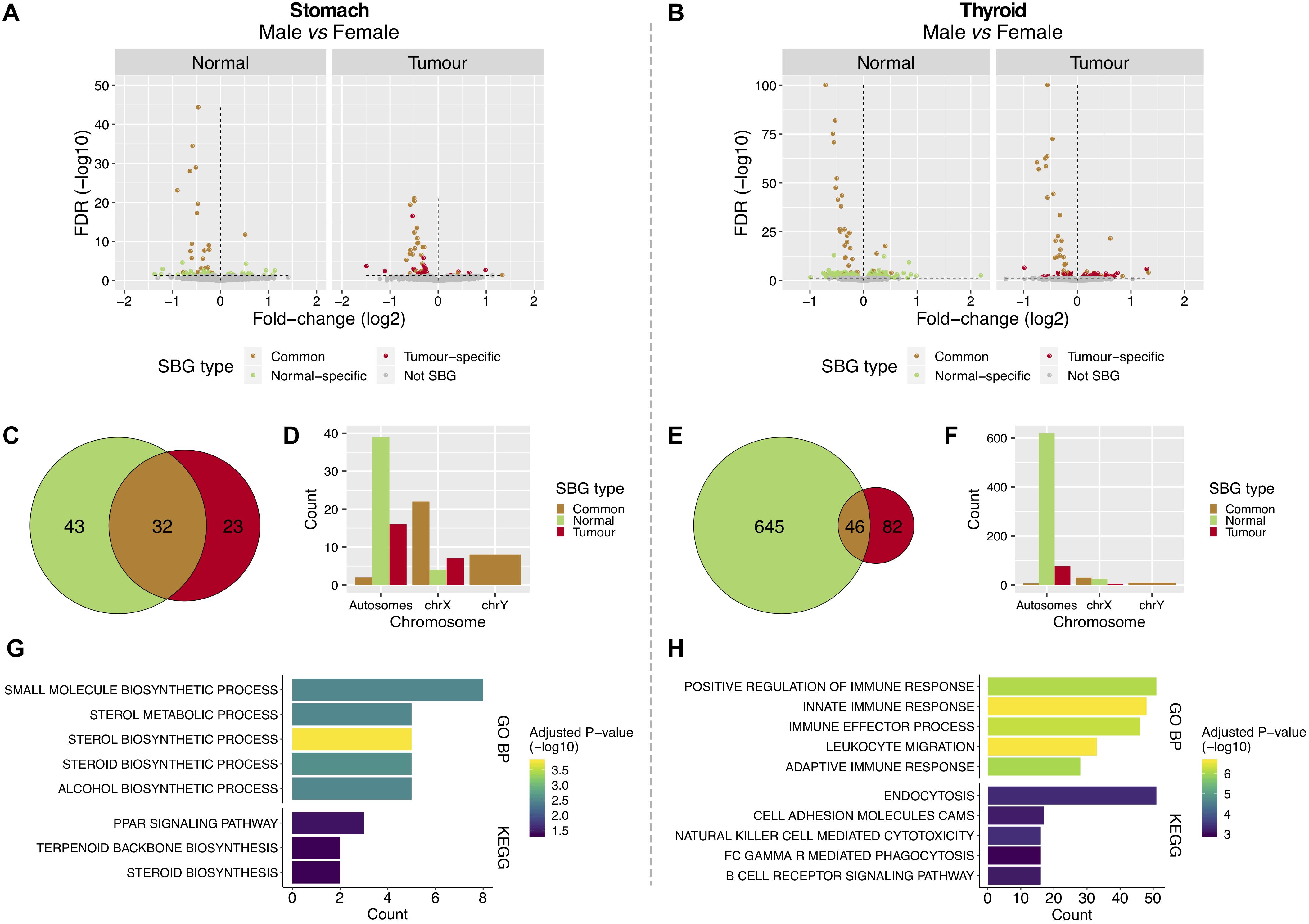 Frontiers Gender Differential Transcriptome In Gastric And Thyroid
