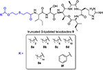 Frontiers | Thiol-ene Enabled Chemical Synthesis of Truncated S ...