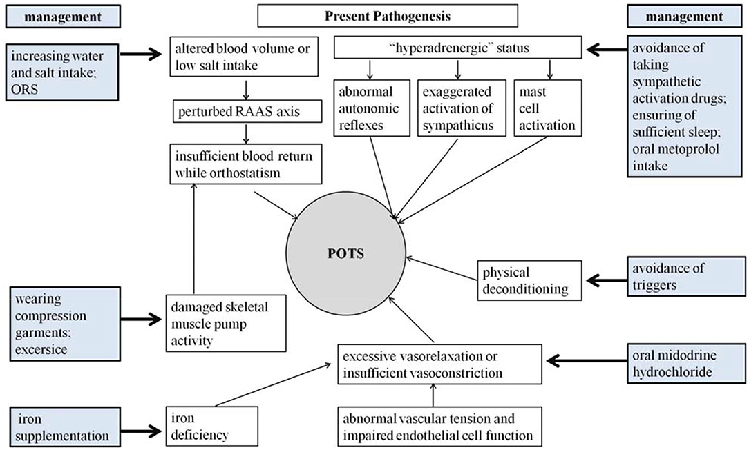 Proposed pathophysiological mechanisms for postural orthostatic