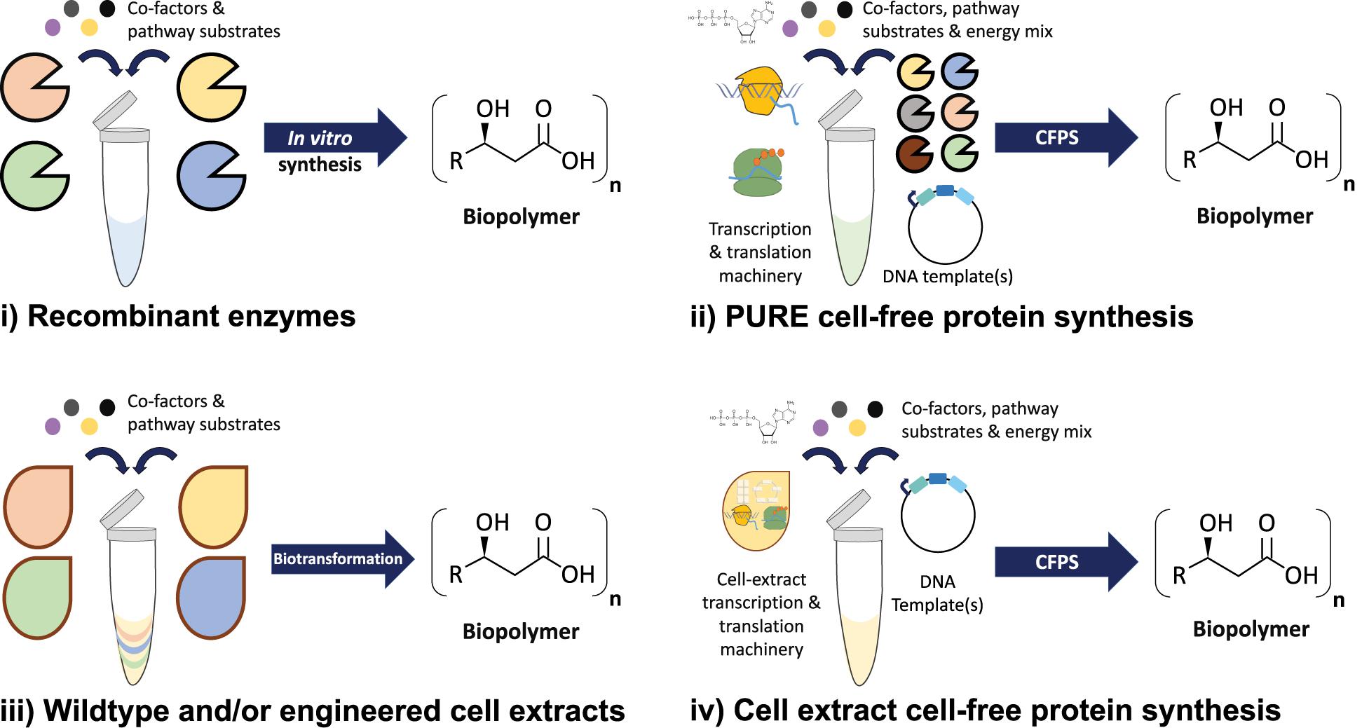 High-Throughput Regulatory Part Prototyping and Analysis by Cell-Free  Protein Synthesis and Droplet Microfluidics