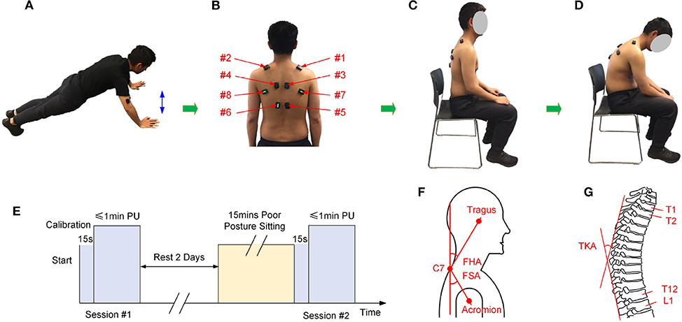 Posture Types: Painful Power Leaks You Should Know About