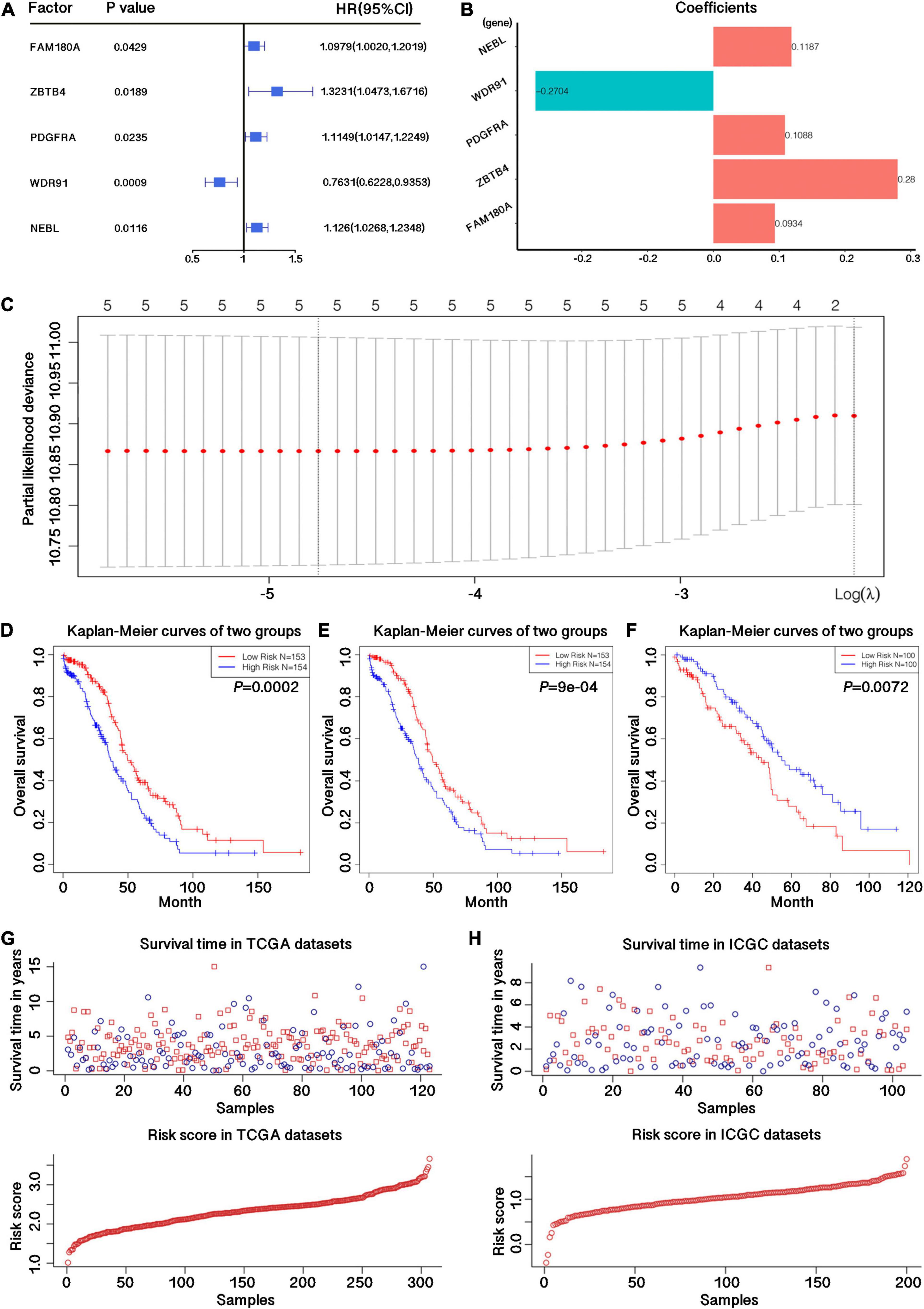Frontiers | Gene Signatures and Prognostic Values of N6 