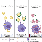 Frontiers | Challenges in Dengue Vaccines Development: Pre-existing ...