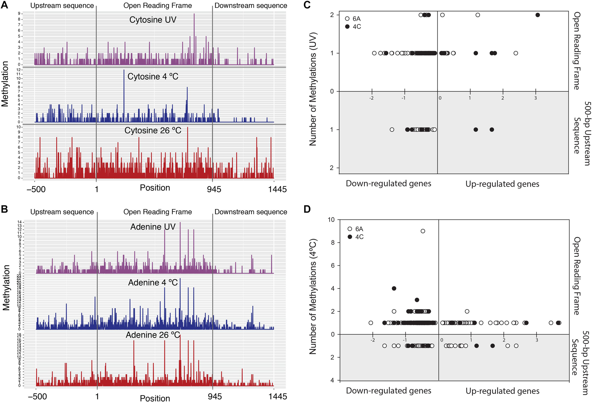 Genova methylation panel