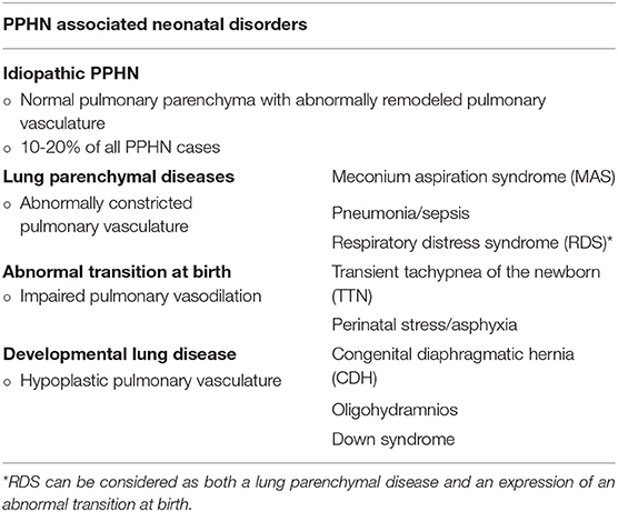 Top 7 persistent pulmonary hypertension of the newborn 2022
