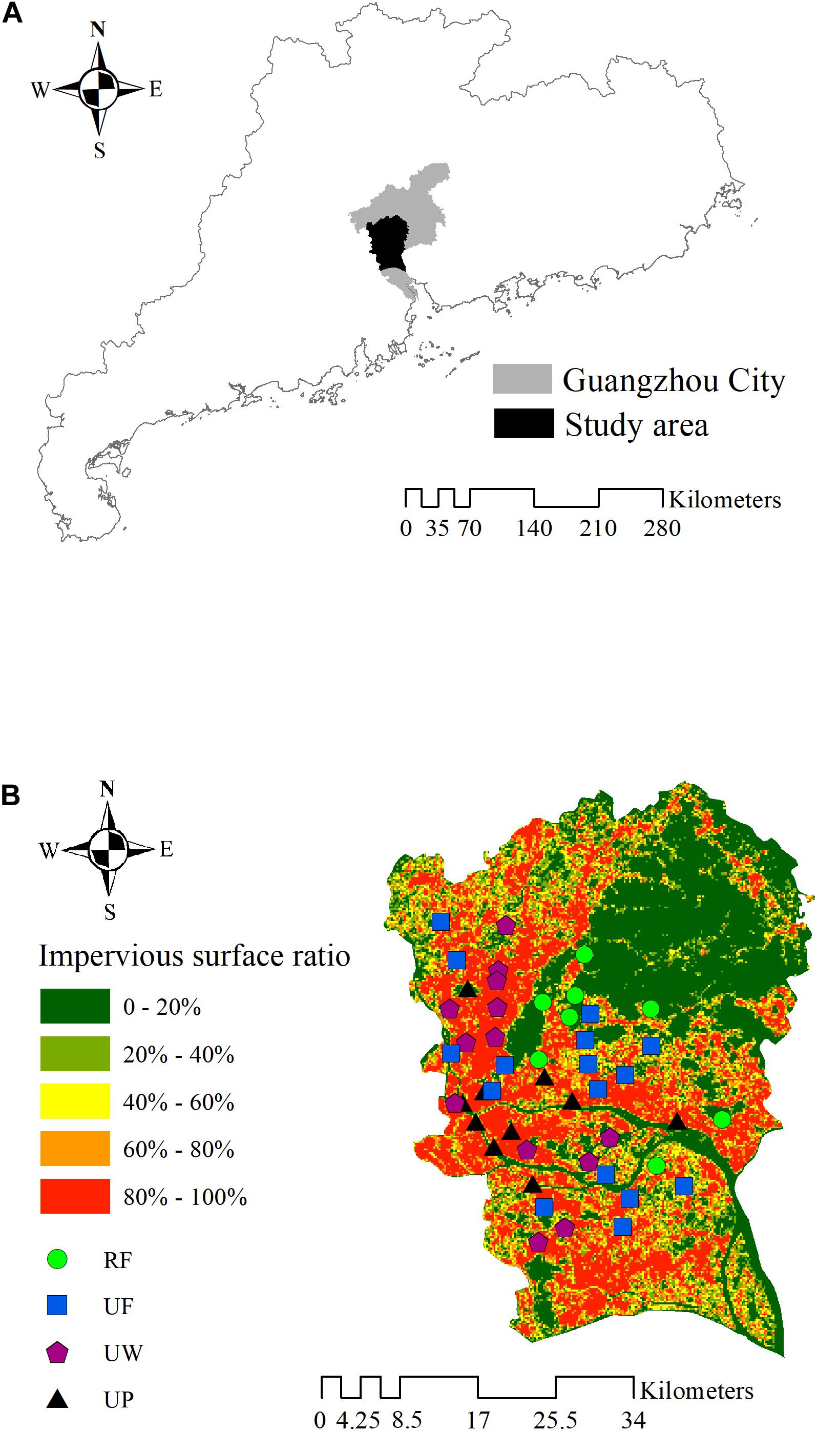 Frontiers Soil Mesofauna Community Changes In Response To The Environmental Gradients Of Urbanization In Guangzhou City Ecology And Evolution