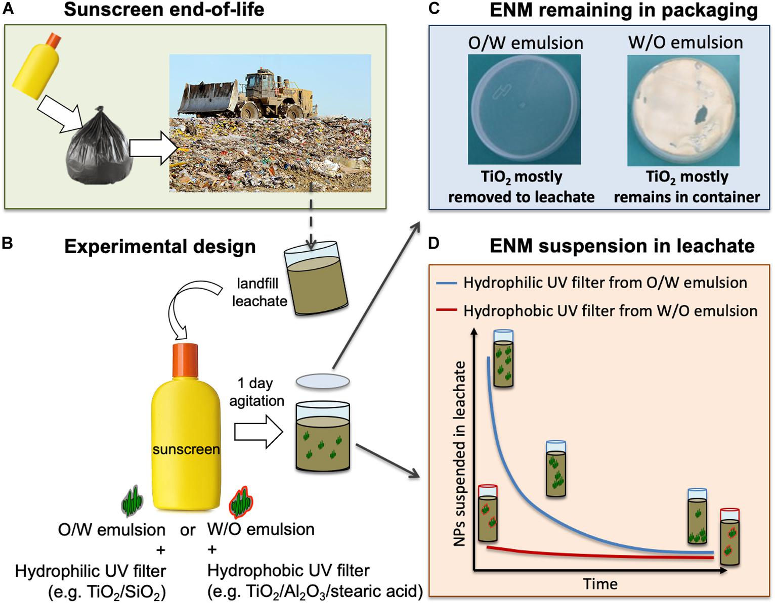 Frontiers Assessing Sunscreen Lifecycle To Minimize Environmental Risk Posed By Nanoparticulate Uv Filters A Review For Safer By Design Products Environmental Science