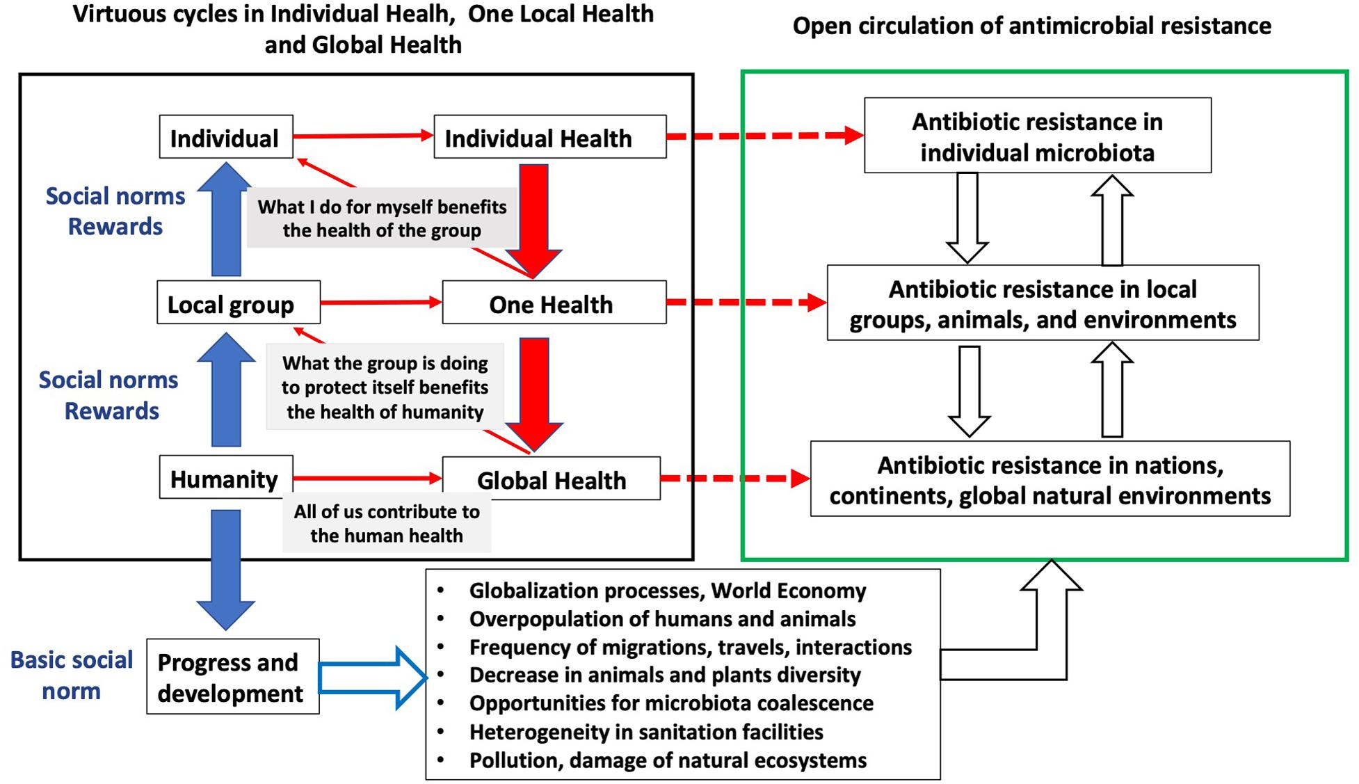 Frontiers Antibiotic Resistance Moving From Individual Health Norms To Social Norms In One Health And Global Health Microbiology