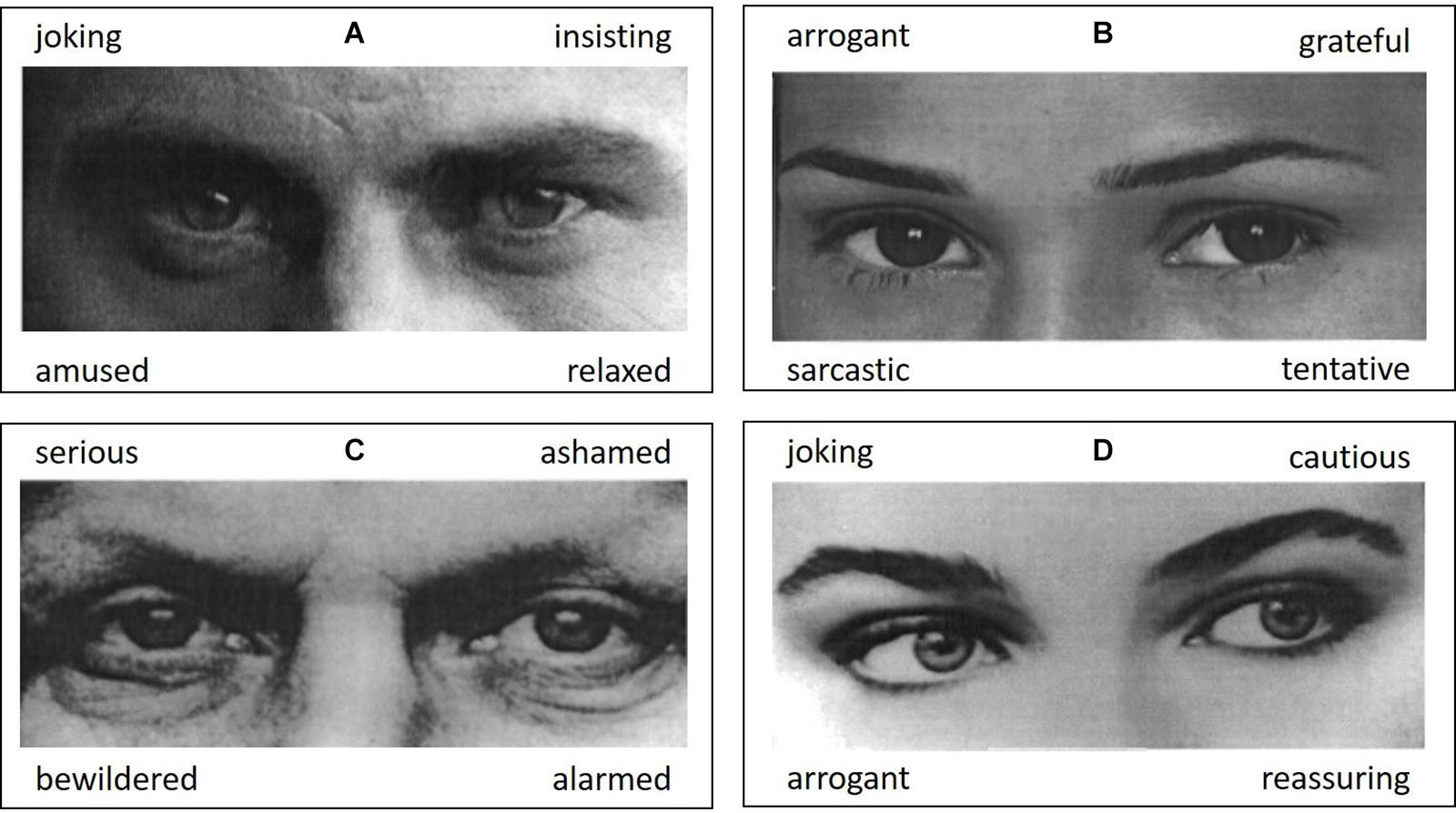 Frontiers  Mindreading From the Eyes Declines With Aging – Evidence From  1,603 Subjects