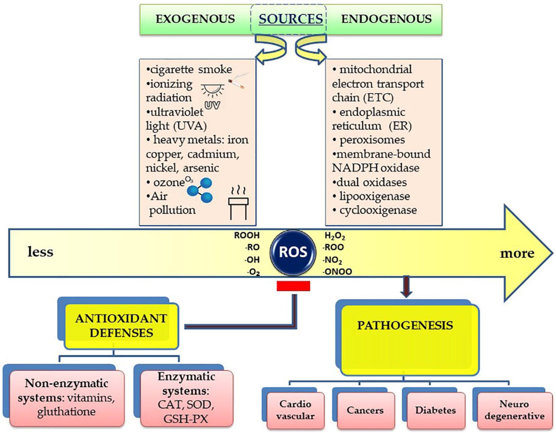Free radicals and oxidative damage to carbohydrates