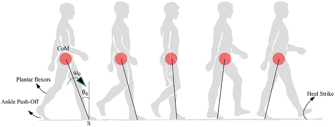 The Power of Triangles — The Gait Guys