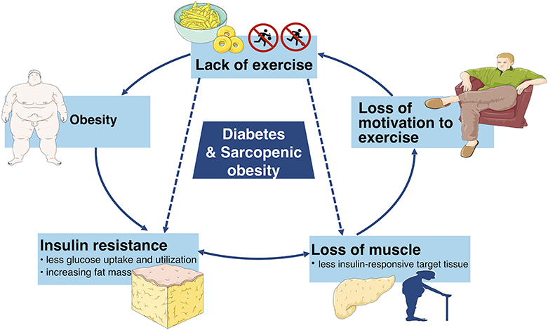 Chronic hyperglycemia and obesity