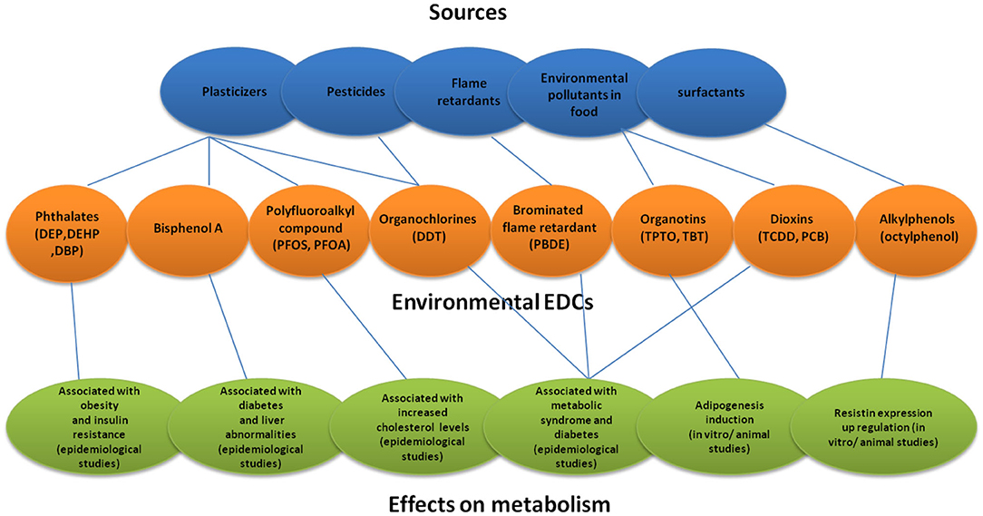 Frontiers Environmental Endocrine Disrupting Chemical Exposure Role In Non Communicable Diseases Public Health
