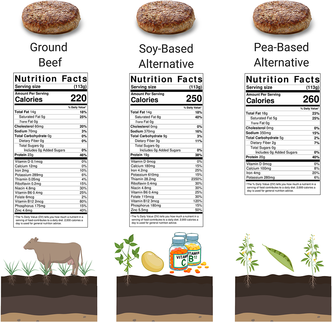 Meat And Alternatives Examples