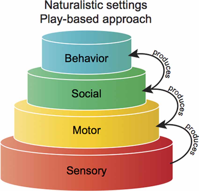 Frontiers  Assessing impulse control behaviors in early